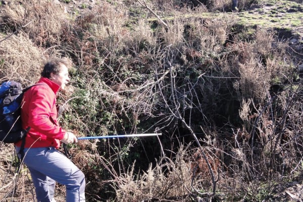 Foto 26 da atividade Galeria de Fotos