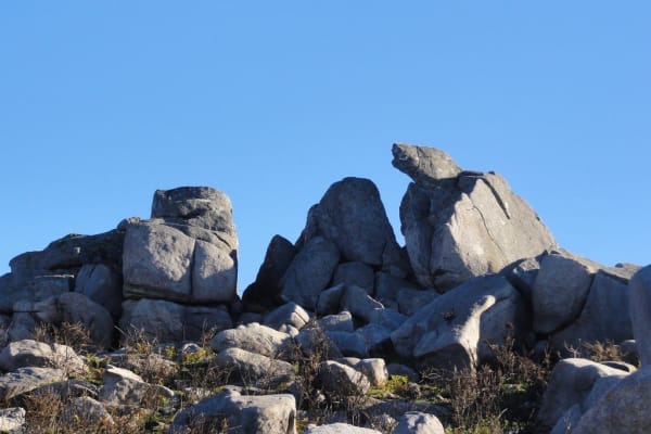 Foto 8 da atividade Galeria de Fotos