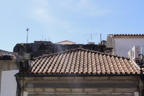 Foto 88 da atividade Galeria de Fotos