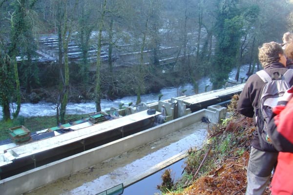 Foto 99 da atividade Galeria de Fotos