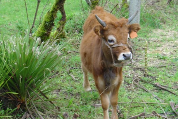 Foto 87 da atividade Galeria de Fotos