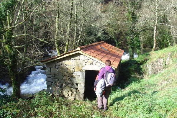 Foto 51 da atividade Galeria de Fotos