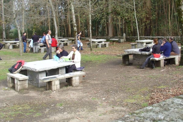 Foto 54 da atividade Galeria de Fotos