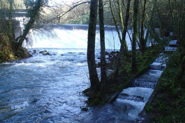 Foto 36 da atividade Galeria de Fotos