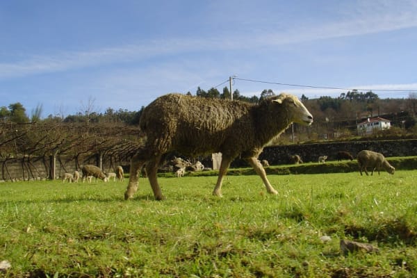 Foto 35 da atividade Galeria de Fotos