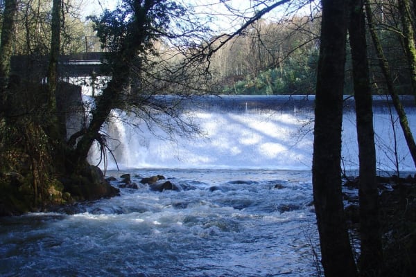 Foto 33 da atividade Galeria de Fotos