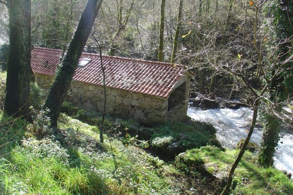 Foto 28 da atividade Galeria de Fotos