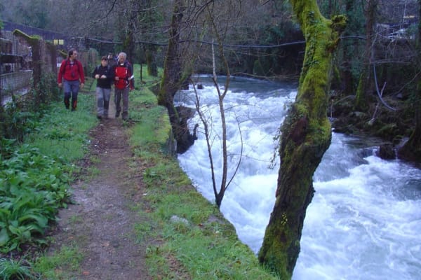 Foto 8 da atividade Galeria de Fotos