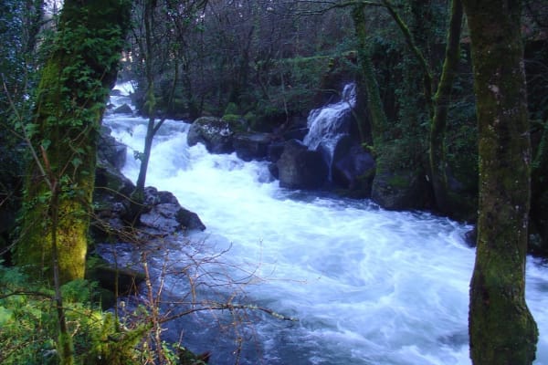 Foto 7 da atividade Galeria de Fotos