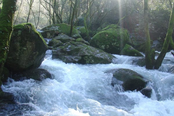 Foto 5 da atividade Galeria de Fotos