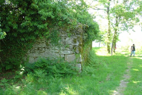 Foto 178 da atividade Galeria de Fotos