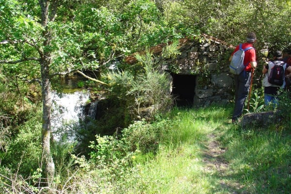 Foto 169 da atividade Galeria de Fotos