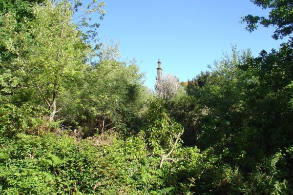 Foto 160 da atividade Galeria de Fotos