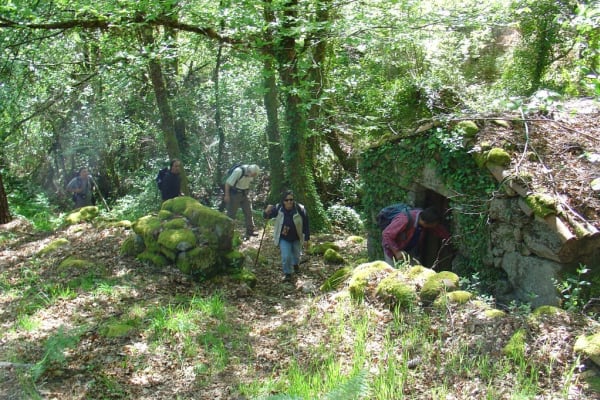 Foto 145 da atividade Galeria de Fotos