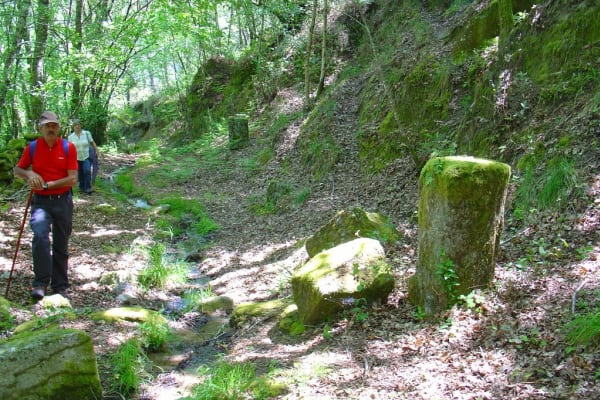 Foto 147 da atividade Galeria de Fotos