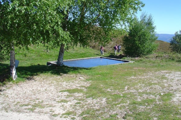 Foto 133 da atividade Galeria de Fotos