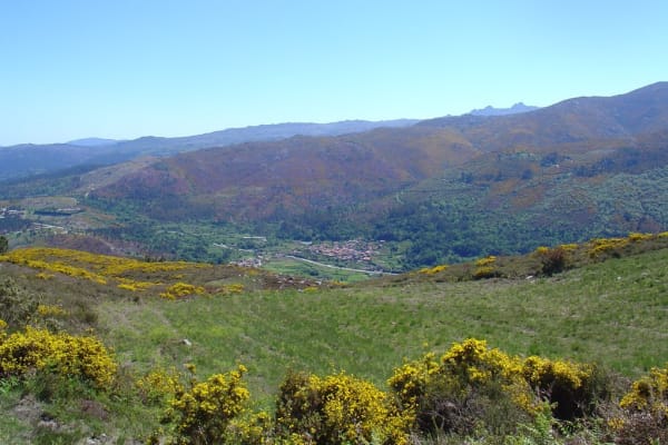 Foto 113 da atividade Galeria de Fotos