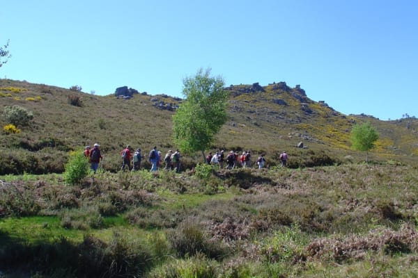 Foto 99 da atividade Galeria de Fotos