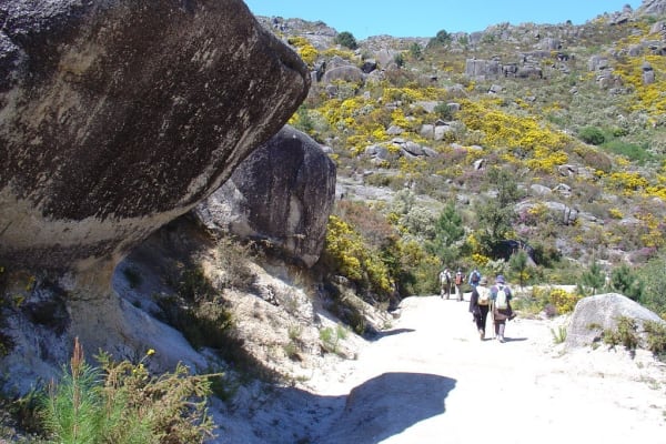 Foto 93 da atividade Galeria de Fotos