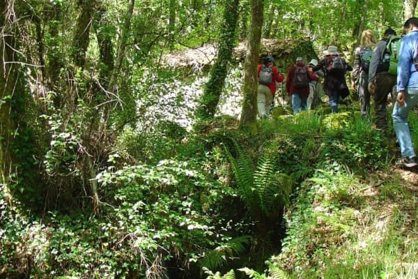 Foto 84 da atividade Galeria de Fotos