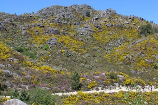 Foto 79 da atividade Galeria de Fotos