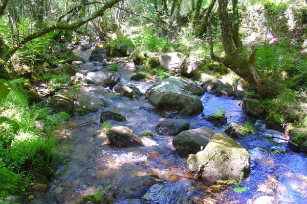 Foto 77 da atividade Galeria de Fotos