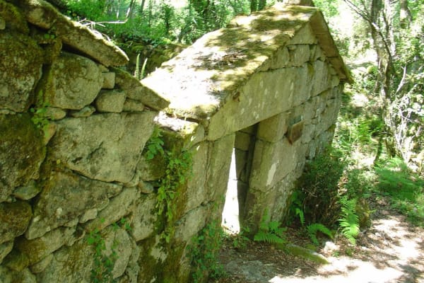 Foto 76 da atividade Galeria de Fotos