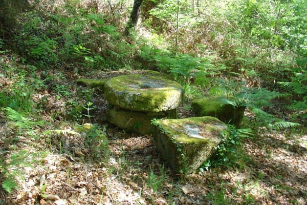 Foto 69 da atividade Galeria de Fotos