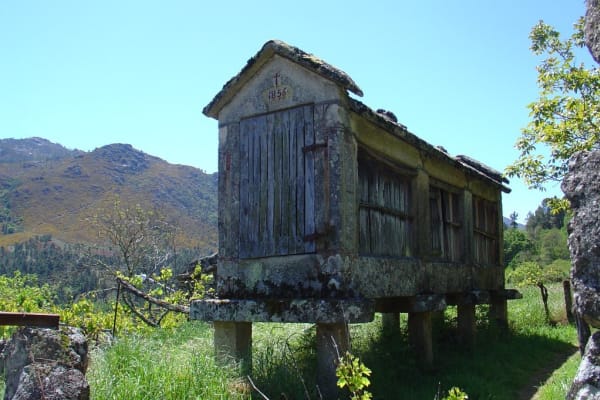 Foto 67 da atividade Galeria de Fotos