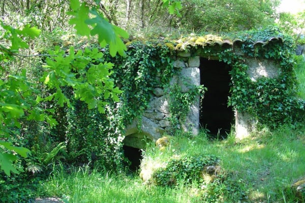 Foto 54 da atividade Galeria de Fotos