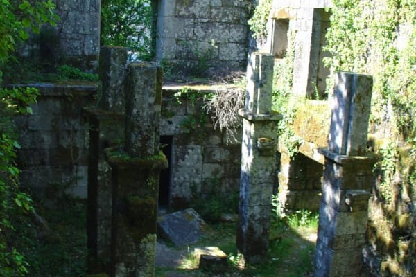 Foto 48 da atividade Galeria de Fotos