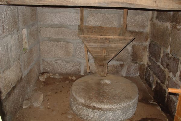 Foto 36 da atividade Galeria de Fotos