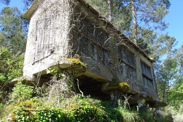 Foto 29 da atividade Galeria de Fotos