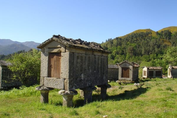 Foto 19 da atividade Galeria de Fotos