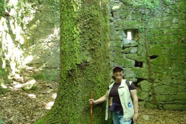 Foto 10 da atividade Galeria de Fotos