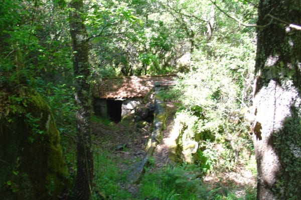 Foto 2 da atividade Galeria de Fotos