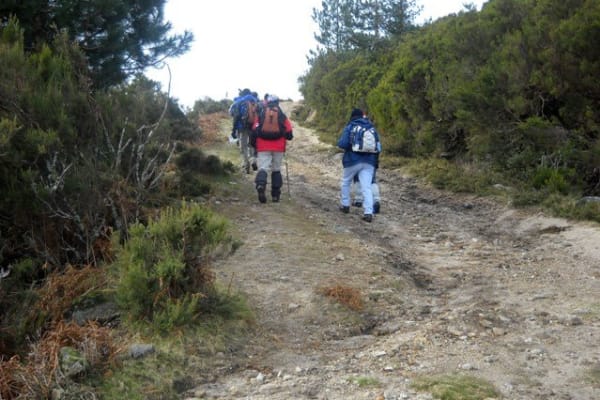 Foto 41 da atividade Galeria de Fotos