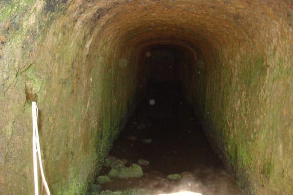 Foto 43 da atividade Galeria de Fotos