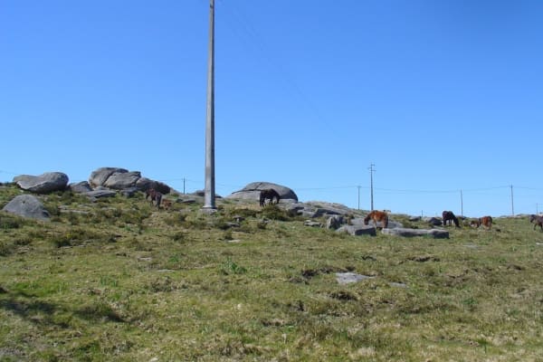 Foto 42 da atividade Galeria de Fotos