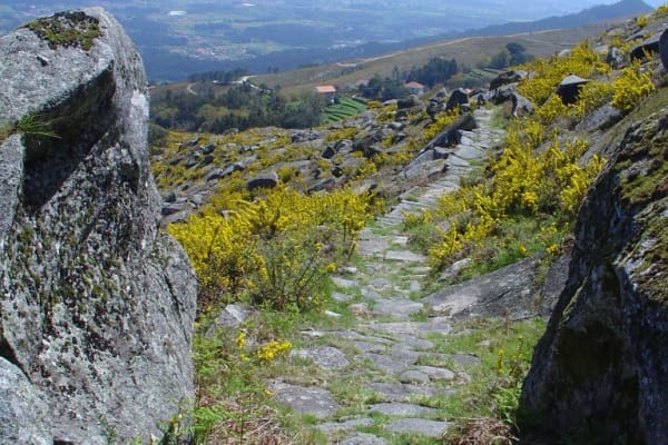 Foto 38 da atividade Galeria de Fotos