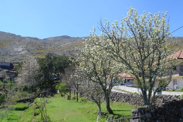 Foto 21 da atividade Galeria de Fotos