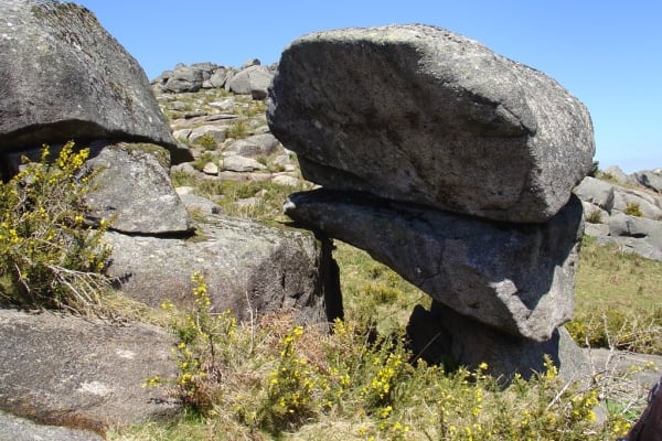 Foto 9 da atividade Galeria de Fotos