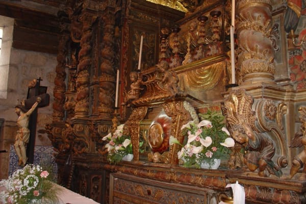 Foto 263 da atividade Galeria de Fotos