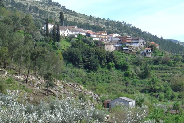 Foto 246 da atividade Galeria de Fotos