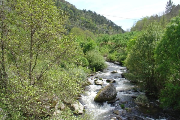 Foto 245 da atividade Galeria de Fotos