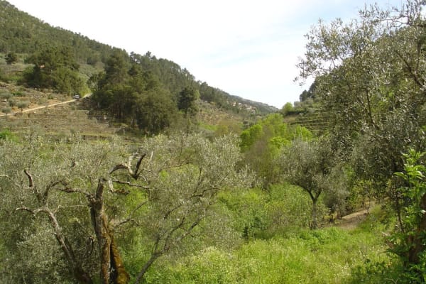 Foto 234 da atividade Galeria de Fotos