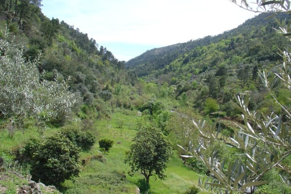 Foto 230 da atividade Galeria de Fotos