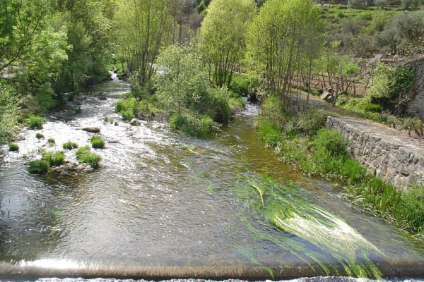 Foto 229 da atividade Galeria de Fotos