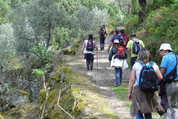 Foto 214 da atividade Galeria de Fotos