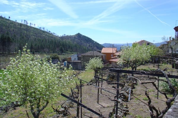 Foto 199 da atividade Galeria de Fotos